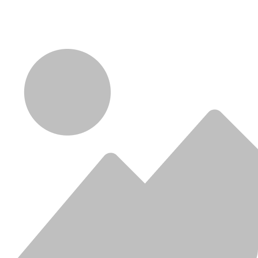 UX/UI Designer